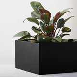 Metal Planter Boxes