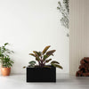 Metal Planter Boxes